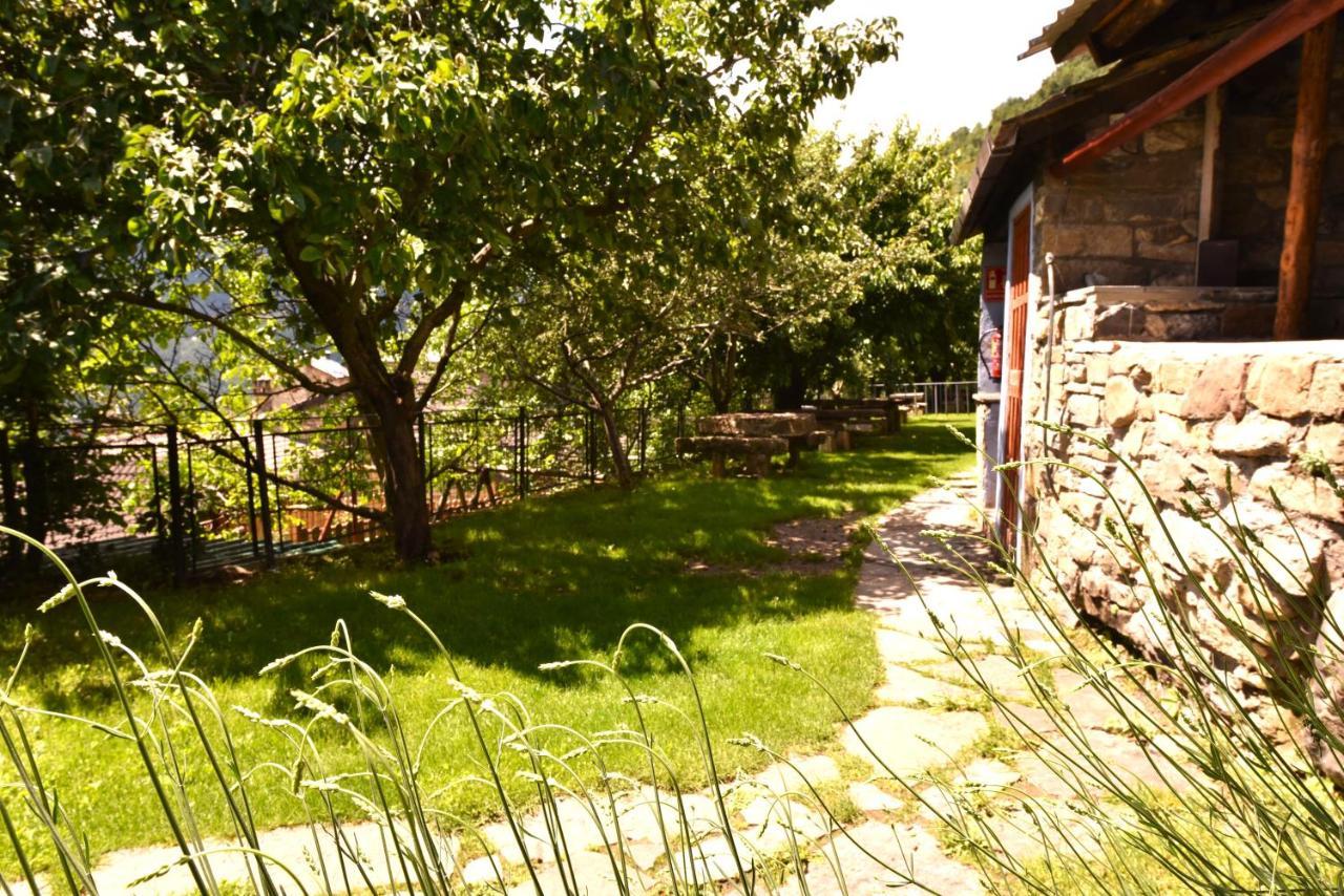 מלון בואסה Balcon Del Pirineo Rural Ordesa מראה חיצוני תמונה